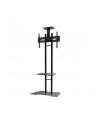 NewStar Stojak Mobilny, Wózek do LED/LCD- (wysokość: 155-170 cm) - nr 10