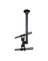 NewStar Uchwyt Sufitowy  (Wysokość: 64-105 cm) - nr 48
