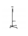 NewStar Stojak Mobilny, Wózek do LED/LCD- (wysokość: 155-170 cm) - nr 11