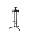 NewStar Stojak Mobilny, Wózek do LED/LCD- (wysokość: 155-170 cm) - nr 16