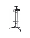 NewStar Stojak Mobilny, Wózek do LED/LCD- (wysokość: 155-170 cm) - nr 18