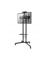 NewStar Stojak Mobilny, Wózek do LED/LCD- (wysokość: 155-170 cm) - nr 19