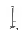 NewStar Stojak Mobilny, Wózek do LED/LCD- (wysokość: 155-170 cm) - nr 35
