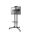 NewStar Stojak Mobilny, Wózek do LED/LCD- (wysokość: 155-170 cm) - nr 39