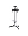 NewStar Stojak Mobilny, Wózek do LED/LCD- (wysokość: 155-170 cm) - nr 40