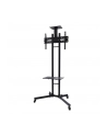 NewStar Stojak Mobilny, Wózek do LED/LCD- (wysokość: 155-170 cm) - nr 4