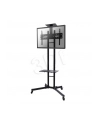 NewStar Stojak Mobilny, Wózek do LED/LCD- (wysokość: 155-170 cm) - nr 5