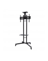 NewStar Stojak Mobilny, Wózek do LED/LCD- (wysokość: 155-170 cm) - nr 8