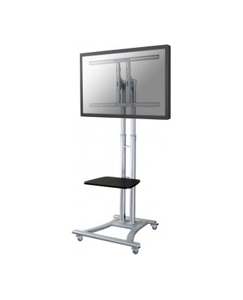 NewStar Stojak Mobilny, Wózek do LED/LCD- (wysokość: 80-180 cm)
