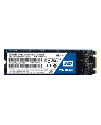 Dysk SSD WD M.2 2280″ 250 GB SATA 6 Gb/s 540MB/s 500MS/s