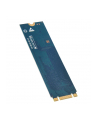 WESTERN DIGITAL WD Green SSD 240GB SATA III 6Gb/s  M.2 2280 7mm Bulk - nr 13