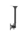 NewStar Uchwyt Sufitowy  (Wysokość: 64-105 cm) - nr 34