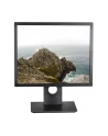Dell 19,5'' P1917s LED 16:10/1440x900/VGA/3YPPG - nr 10