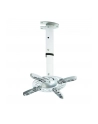 Techly Uchwyt sufitowy do projektora 30/37 cm, 15 kg, srebrny - nr 21