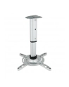 Techly Uchwyt sufitowy do projektora 30/37 cm, 15 kg, srebrny - nr 25