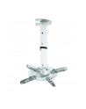 Techly Uchwyt sufitowy do projektora 30/37 cm, 15 kg, srebrny - nr 28