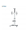 Manhattan Stojak mobilny do TV LCD/LED/PDP 37''-70'' 50kg VESA PIVOT pochylany - nr 9