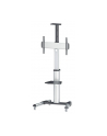 Manhattan Stojak mobilny do TV LCD/LED/PDP 37''-70'' 50kg VESA PIVOT pochylany - nr 1