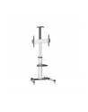 Manhattan Stojak mobilny do TV LCD/LED/PDP 37''-70'' 50kg VESA PIVOT pochylany - nr 23