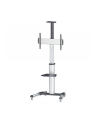 Manhattan Stojak mobilny do TV LCD/LED/PDP 37''-70'' 50kg VESA PIVOT pochylany - nr 31