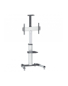 Manhattan Stojak mobilny do TV LCD/LED/PDP 37''-70'' 50kg VESA PIVOT pochylany - nr 37
