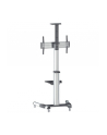 Manhattan Stojak mobilny do TV LCD/LED/PDP 37''-70'' 50kg VESA PIVOT pochylany - nr 39
