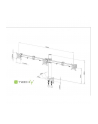 Techly Potrójne ramię biurkowe do LED/LCD 13''-24'' VESA 3x10 kg regulowane - nr 10