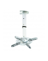 Techly Uchwyt sufitowy do projektora 30/37 cm, 15 kg, srebrny - nr 21