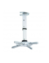 Techly Uchwyt sufitowy do projektora 30/37 cm, 15 kg, srebrny - nr 23