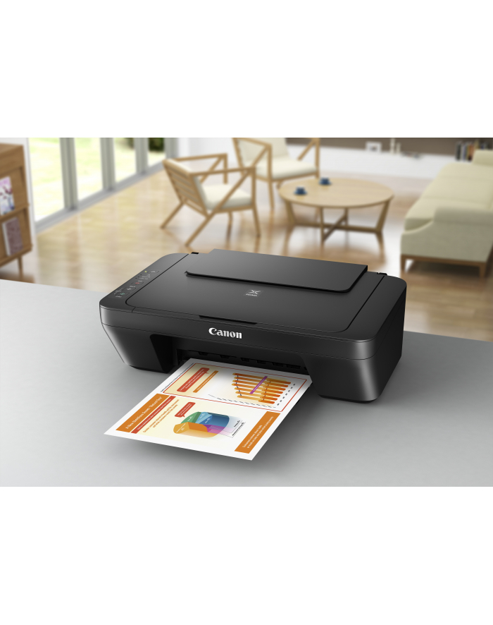 Canon PIXMA MG2555S główny