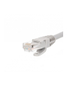 Netrack patchcord RJ45, osłonka zalewana, kat. 6 UTP, 0.25m szary - nr 2