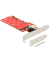 Delock PCI Express Card > Hybrid 2 x internal M.2 + 2 x SATA 6 Gbs with RAID - nr 11