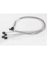 Supermicro SAS3 cross-over Cable SFF-8643 (mini SAS HD) to 4 x SATA 55cm - nr 11