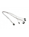 Supermicro SAS3 cross-over Cable SFF-8643 (mini SAS HD) to 4 x SATA 55cm - nr 24