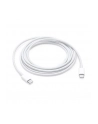 Apple USB-C Charge Cable 2M MLL82ZM/A - nr 14