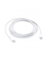 Apple USB-C Charge Cable 2M MLL82ZM/A - nr 18