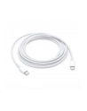 Apple USB-C Charge Cable 2M MLL82ZM/A - nr 23