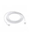 Apple USB-C Charge Cable 2M MLL82ZM/A - nr 4
