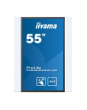 Monitor Iiyama TE5565MIS-B1AG 55inch, IPS multitouch, Full HD, DVI, HDMI, DP, sp - nr 22