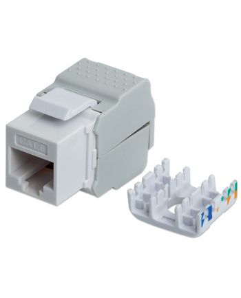 Intellinet Network Solutions Intellinet Beznarzędziowy moduł Keystone Cat6 UTP RJ45 biały