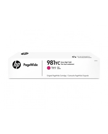981YC Magenta Contract L0R18YC