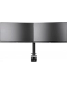iiyama UCHWYT DS1002C-B1 2 EKRANY, PIVOT, VESA - nr 30