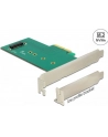 DeLOCK Adapter PCIe x4 - 1 x M.2 Key M NVMe Low Profile - nr 36