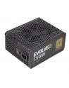 EVOLVEO G750 750W, eff 91%, 80+ GOLD, aPFC, modularny, retail - nr 2