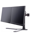 UCHWYT IIYAMA DS1002D-B1 2 EKRANY, REGULACJA WYSOKOŚCI, PIVOT - nr 9
