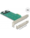 DeLOCK PCIe x1 > 2x M.2 + Low profile adapter - nr 23