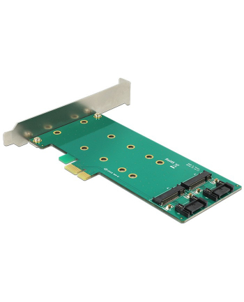 DeLOCK PCIe x1 > 2x M.2 + Low profile adapter