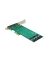 DeLOCK PCIe x1 > 2x M.2 + Low profile adapter - nr 16