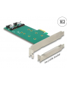 DeLOCK PCIe x1 > 2x M.2 + Low profile adapter - nr 24