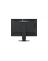 EIZO CG2420 ColorEdge - 24.1 - LED - HDMI, DVI, DisplayPort, USB 3.0, Pivot - black - nr 25